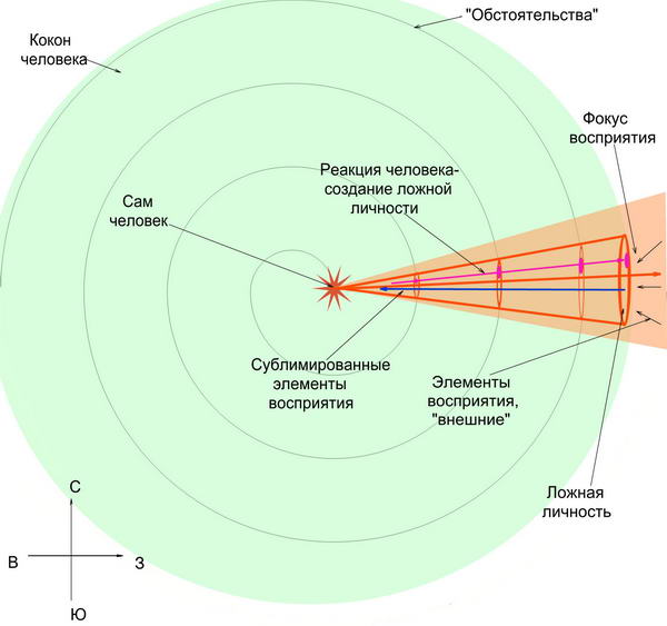 Кокон, 3.5, обстоятельства